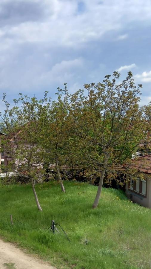 Lago D'Argento Sobe Veliko Gradište Extérieur photo